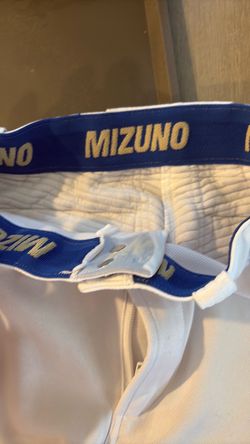 Mizuno baseball pants