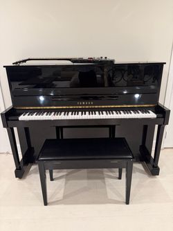 Yamaha T116 PE (Polished)