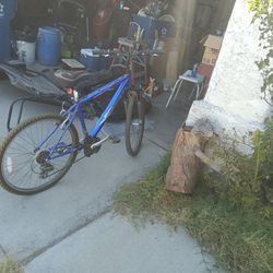 Mountain Bike