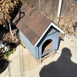 Small Dog House 