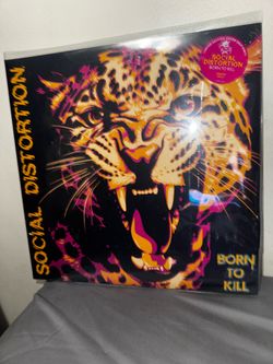 Social distortion new album