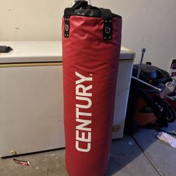 Punching Bag