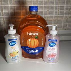 Hand Soap Bundles 