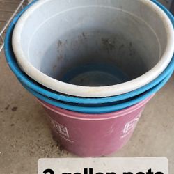 Flower Pots Assorted Size