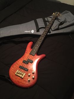 Spector Bass Guitar