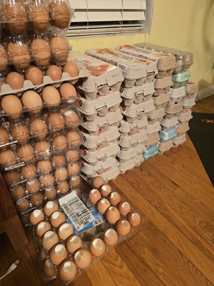 Egg Shells--70 Dozen