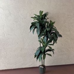One Tall And Heavy 5.5 Foot Artificial Palm Tree