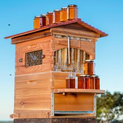 Flow Hive Beehive With Smoker, Bee Suit Etc