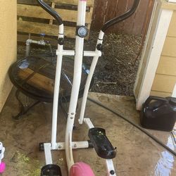Elliptical Pink And Black 