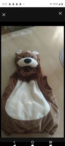 Bear costume