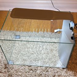 5 Gallon Fish Tank