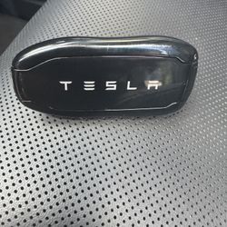 Tesla Key Fob