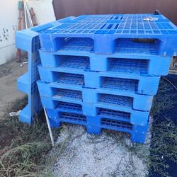 15 Plastic Pallets 