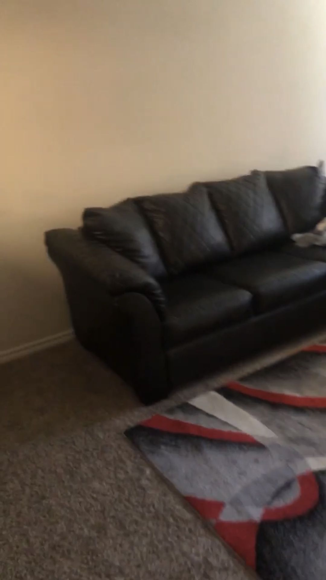Black Leather Couches 