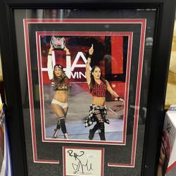 Wee Bella Twins Signed Framed Picture and Figures 