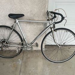 RARE Senator Road Silver Bicycle “fixer Upper” 