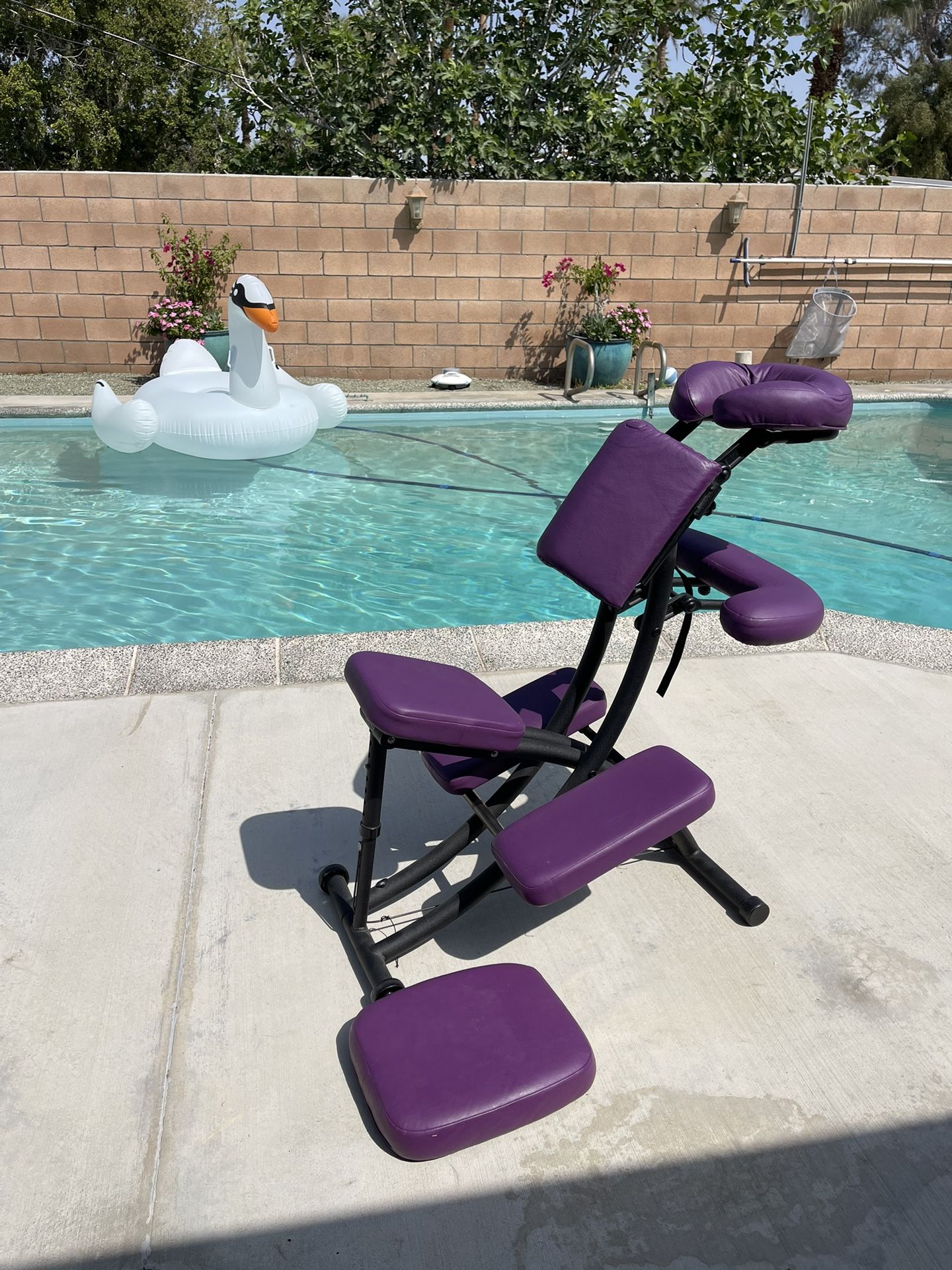 Massage chair professional