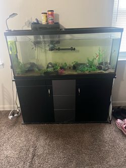 Fish tank