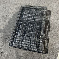 Kennel