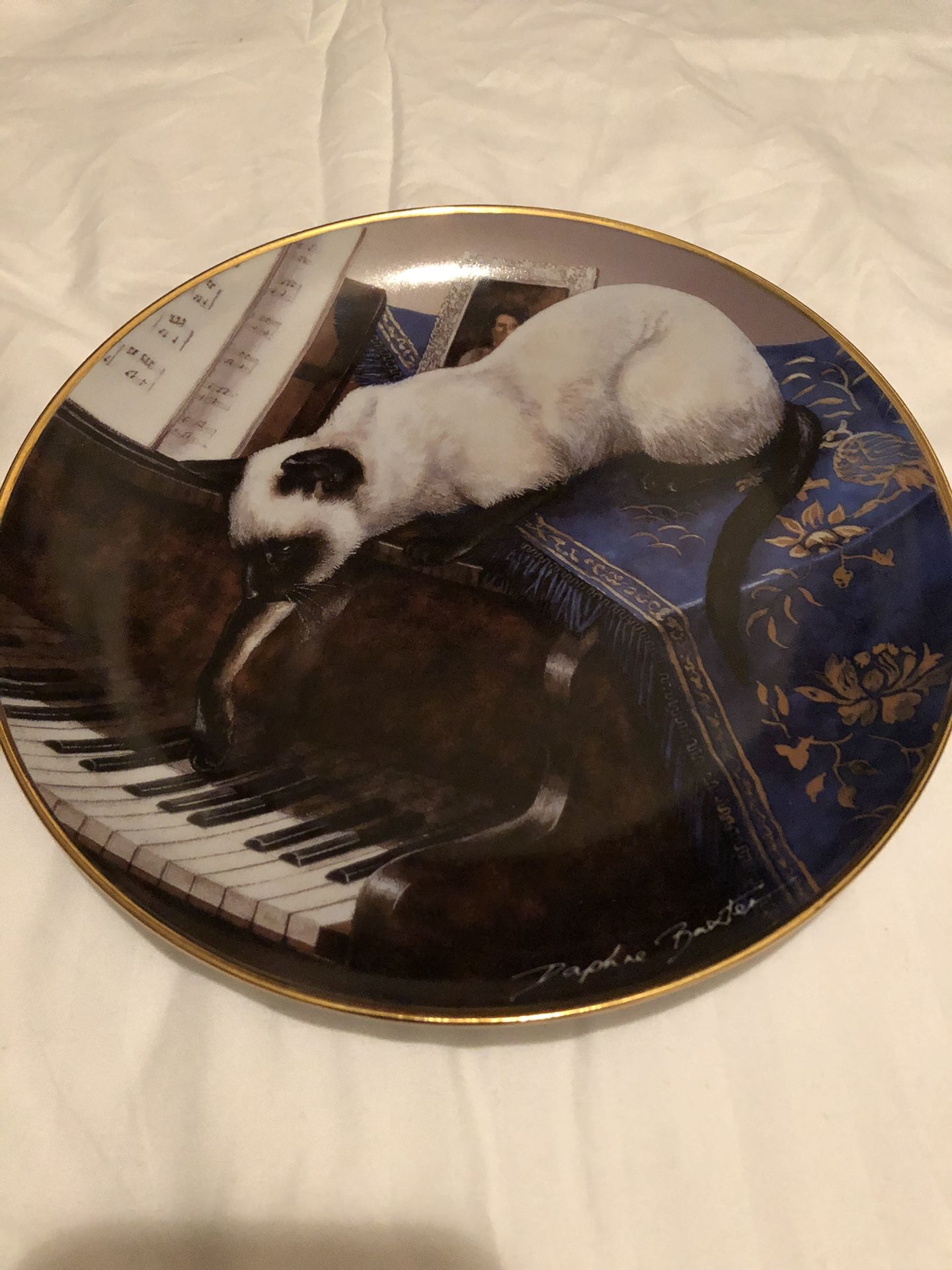 A Touch Of Ivory Siamese Cat Plate Daphne Baxter Franklin Mint Cat Kitten Plate