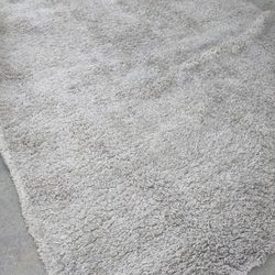Shag Rug 8 X 10 Used, Needs Cleaning