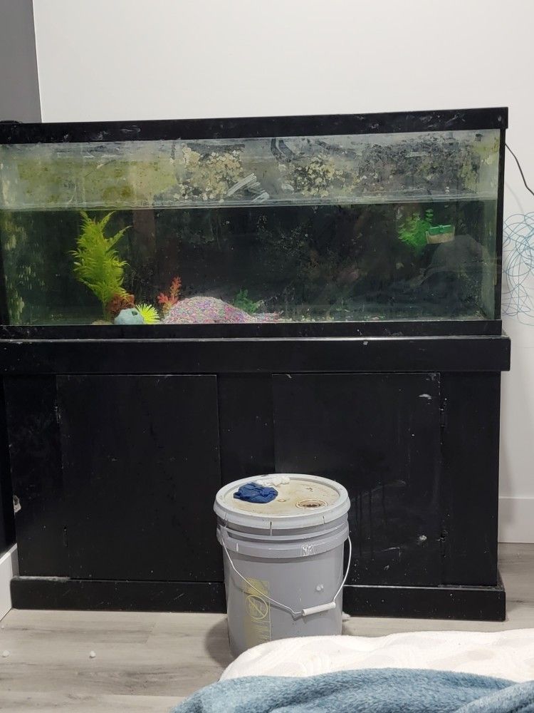 80 Gallon Fish Tank And Stand