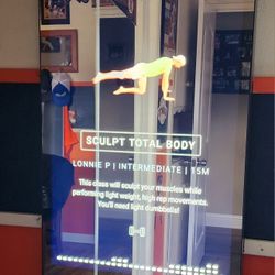 Lululemon Mirror (Exercise)