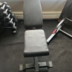 Workout Bench