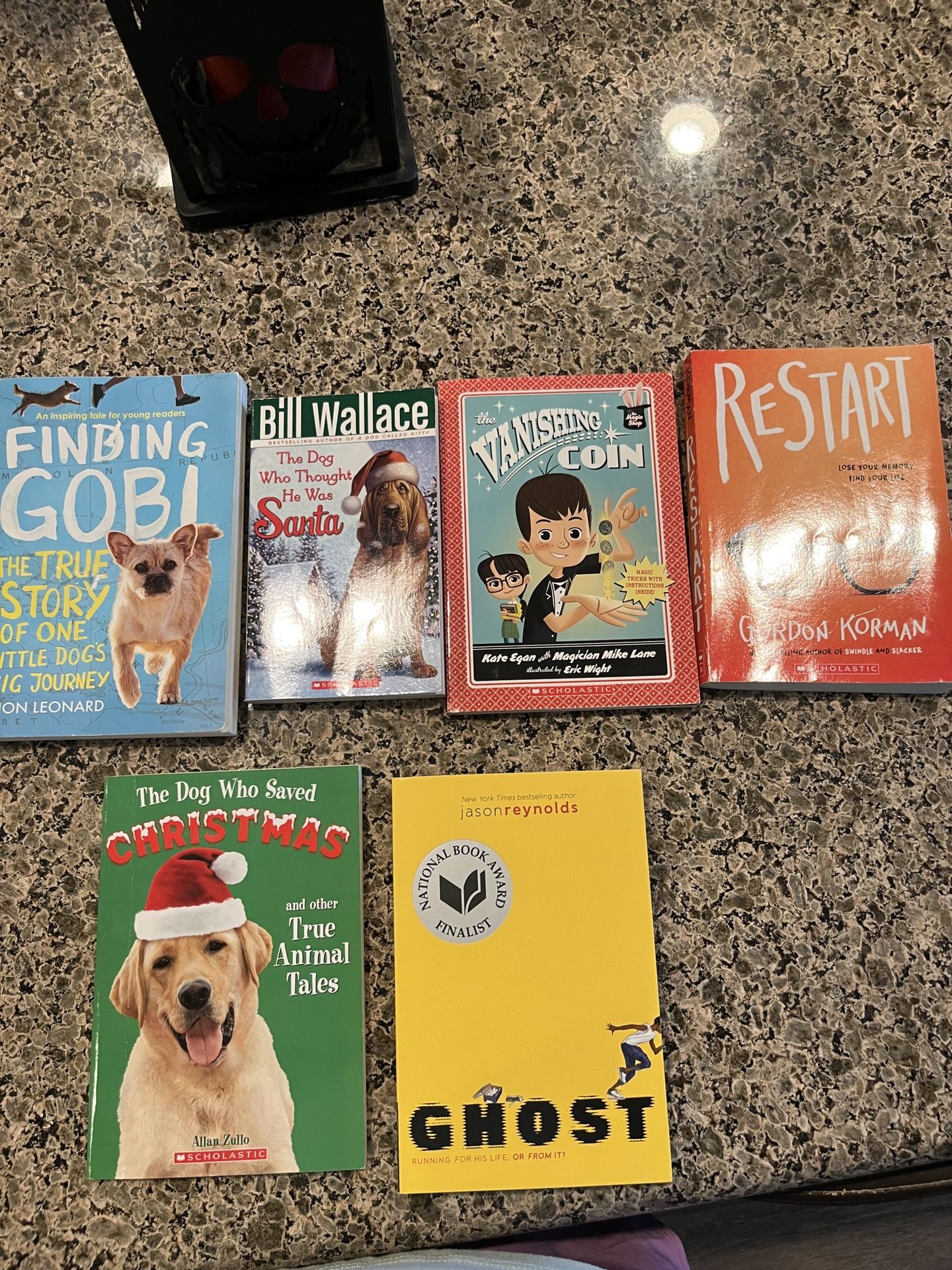 Young Reader Books