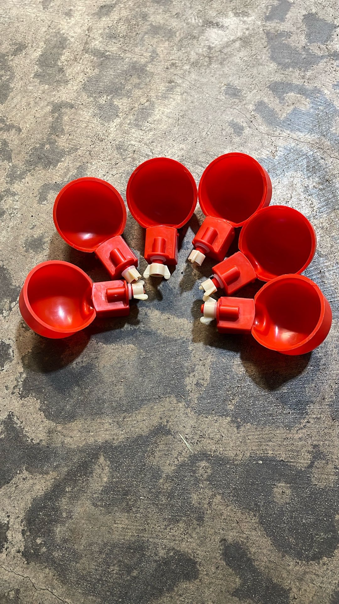 Chicken Water Cups, Automatic Waterer Kit for Poultry