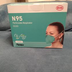 Face Masks N9 Particulate Respirator