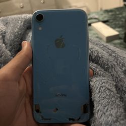 iPhone XR 