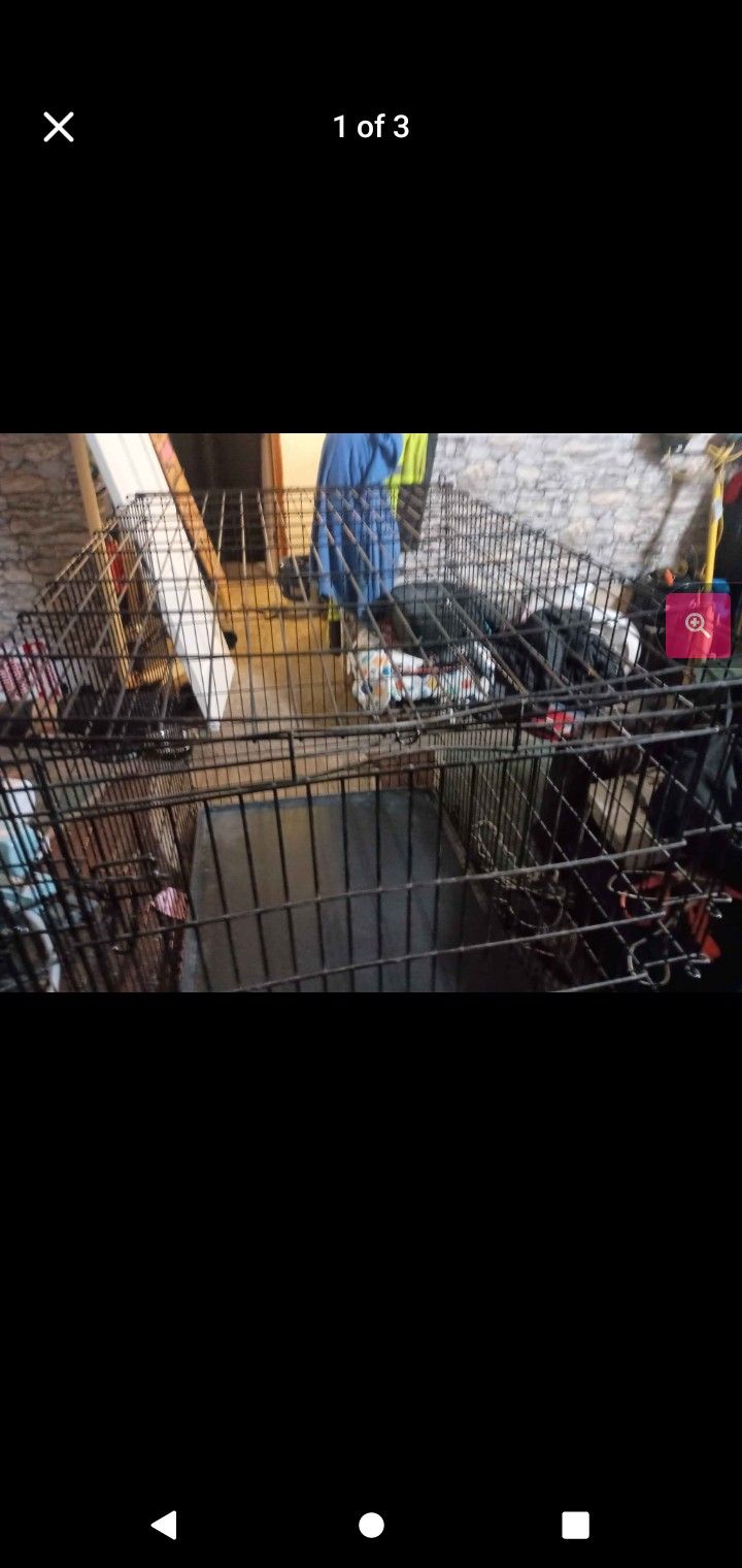 XXL Dog Cage