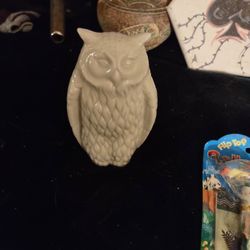 owl