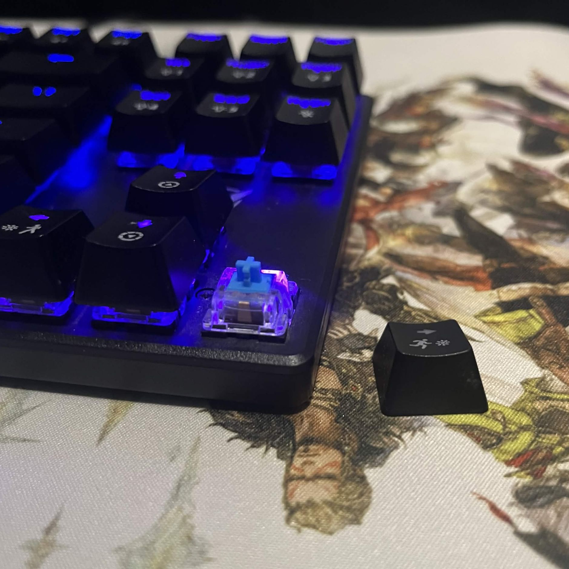 TKL Mechanical Keyboard (Blue Switches)