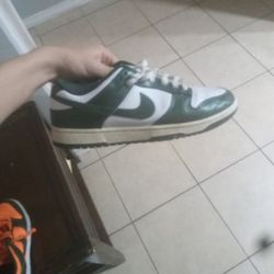 Nike Dunk Se Green & White