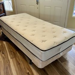 Free Twin XL Mattress