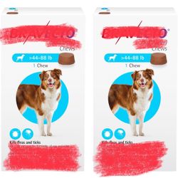 Large Dog Flea And Tick 