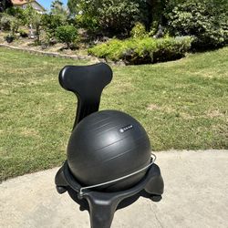 GAIAM Ball Chair