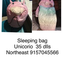 Sleeping Bag Para Niñas 35 Dlls Firme Price Mccombs Y Salem