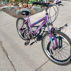 Magna Great Divide 21 Speed, Just Tuned Up