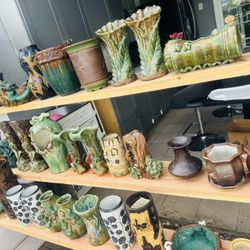 Sccuclents Flower Pot