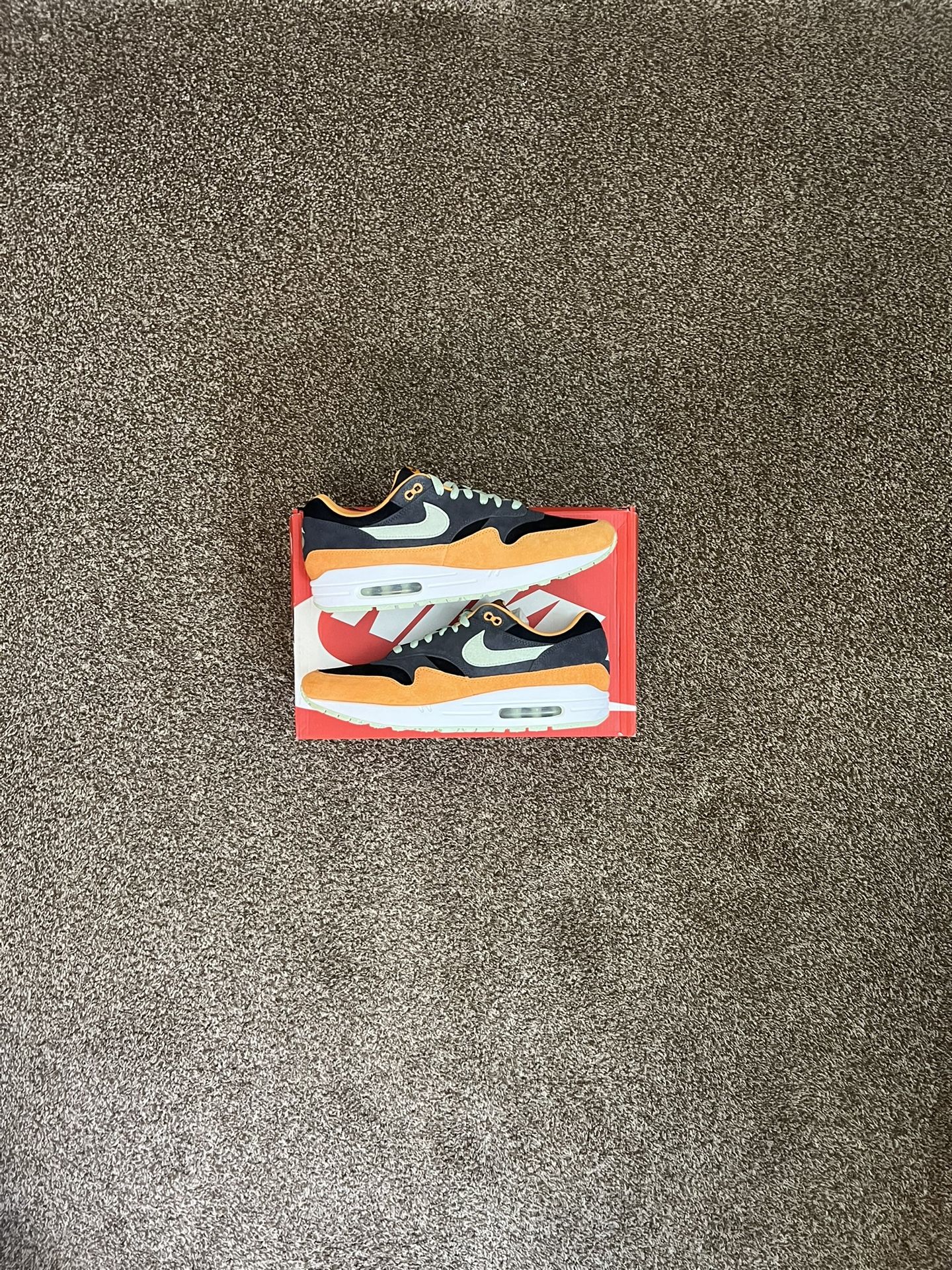 Nike Air Max 1 Duck Honey Dew Size 12