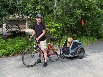 Dog Burley bike trailer