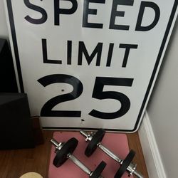 Real Speed Limit Sign. 