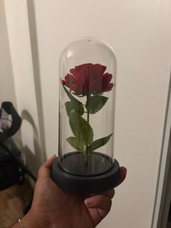 Plastic red rose done