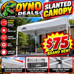 Eagle Peak Slanted Canopy with Carry Bag