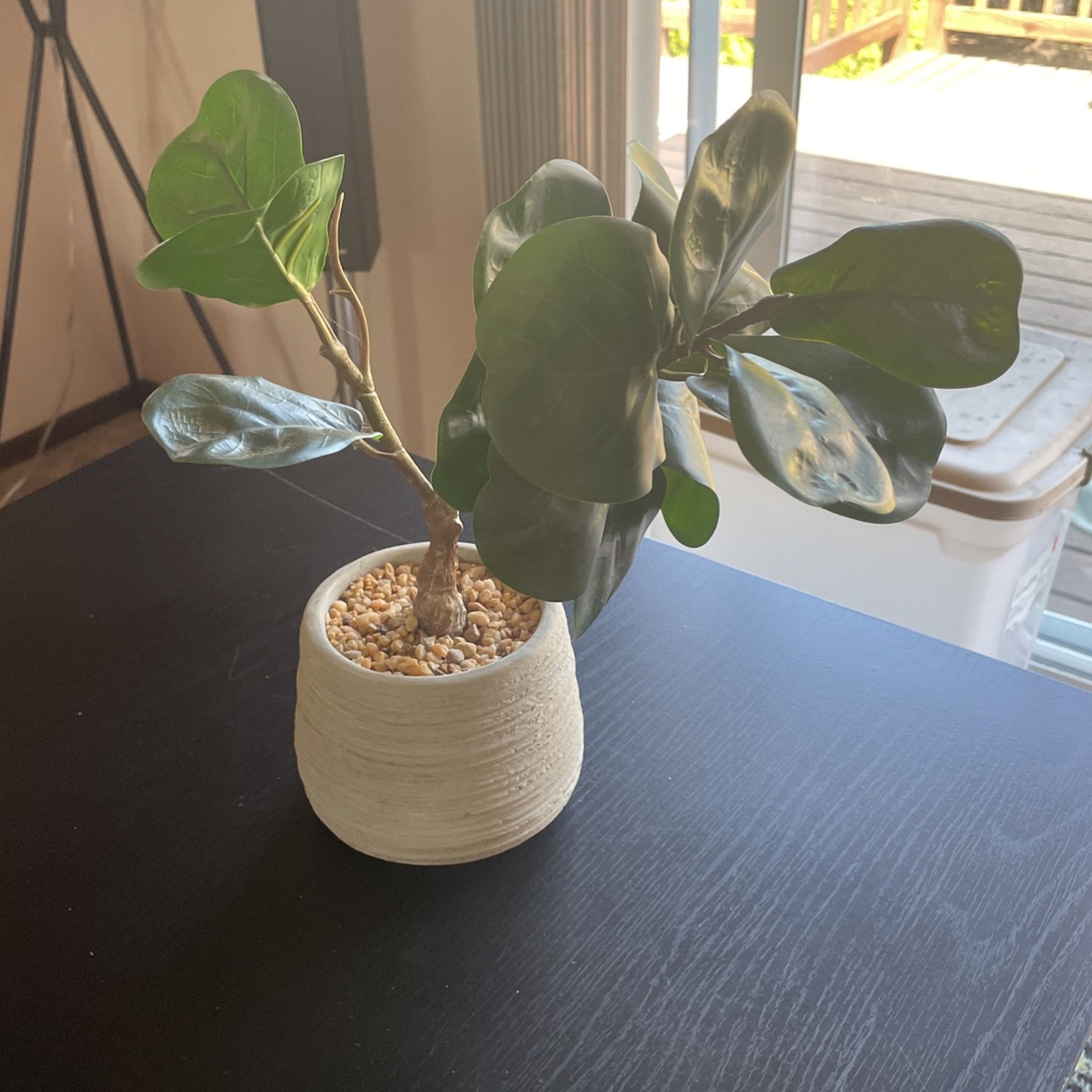 Faux Plant