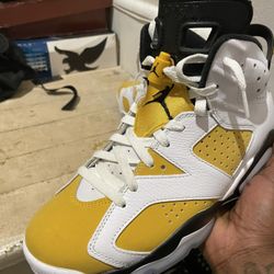 Jordan 6s 