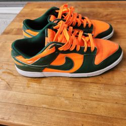 Nike sb dunk 10